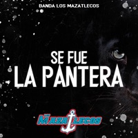 Se Fue la Pantera - Single - Banda Los Mazatlecos