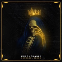 Untouchable - Single - Bankroll Chapo