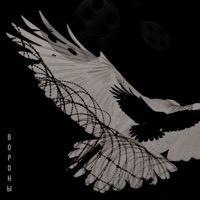 Вороны - Single - Басявый, Железный Акцент & Svyat Barbara