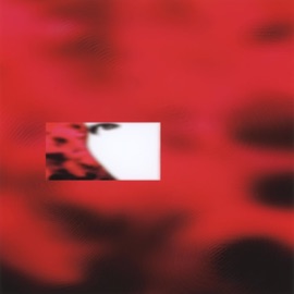 Reality Picture Patrick Holland