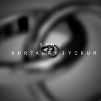 Seni Kurtaramıyorum - Single - Lider
