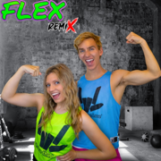 FLEX (feat. GRACE SHARER) [Remix] - Stephen Sharer
