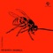 Azione - Luca Vera lyrics