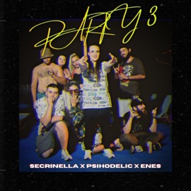 Party 3 (feat. Psihodelic,Enes) Secrinella