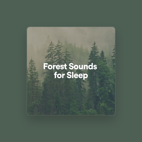 Ambient Forest's avatar