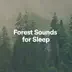 Forest Sounds for Sleep album cover