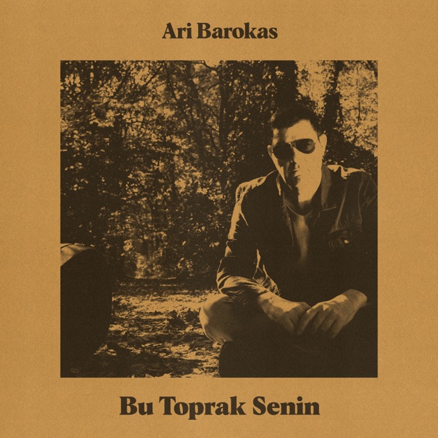 Şifa İstemem Balından / Dikenin Batmasın – Song by Ari Barokas – Apple Music