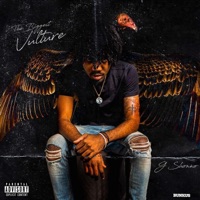 The Biggest Vulture - G Shonno