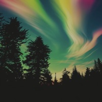 Love Addict (feat. BRBLuhTim) - Single - MuddyBeats