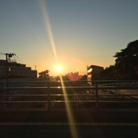 sephirot - Single - Daisuke Miyatani