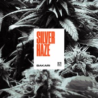 Silver Haze - Single - Bakari