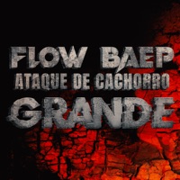 Flow Baep Ataque de Cahorro Grande - Single - JC Rap
