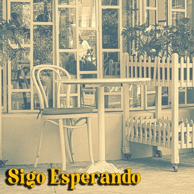 Sigo Esperando - Single