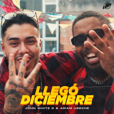 Llegó Diciembre (feat. Ariam Useche) - Single