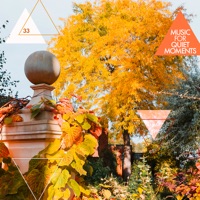 Music for Quiet Moments 33 - A Move Inside II (Asheville 28 Feb 2006) - EP - Robert Fripp