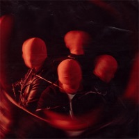 Sacrifice - Single - Nevertel