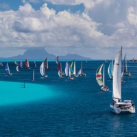 Regatta - Single - will winters