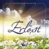Voice of Hope Music - Der auferstand'ne Jesus