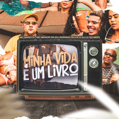 Minha Vida É um Livro (feat. Dj Lv Mdp) - Single
