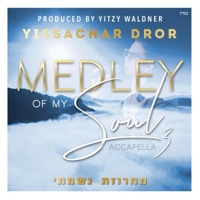 Medley of My Soul 3 - Single - Yissachar Dror
