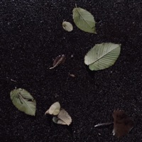 :( - Single - 88 Diagrams