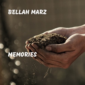 Karena Kamu Cuma Satu Album Art