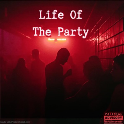 Life of the Party (feat. Who Else? & Real Amor) - Single
