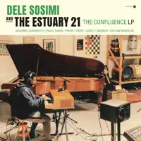 You Don't Have To — Dele Sosimi & The Estuary 21