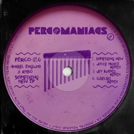 Something New (Jey Kurmis Remix) RYBO & Anabel Englund