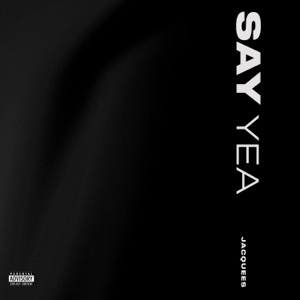 Say Yea - Single