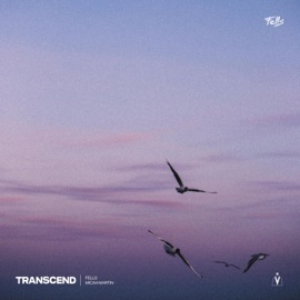Transcend (feat. Micah Martin) Fells