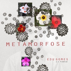 Metamorfose (feat. Adriano Grineberg, Airton Fernandes, Caio Gomes & Fabio Zaganin)