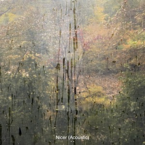 Nicer (Acoustic) - Single