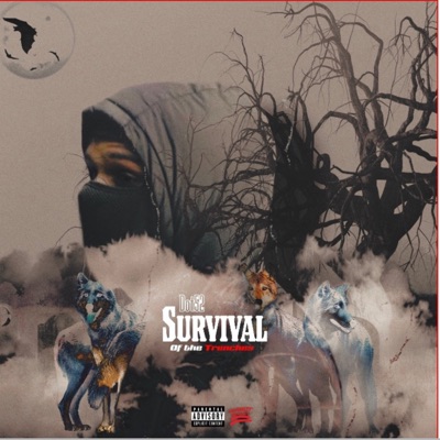 Survival Of The Trenches - EP