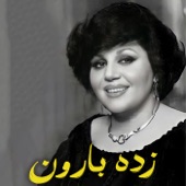 زده بارون (feat. Hayedeh) artwork