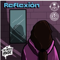 Reflexion (feat. Dj Ropo & Nef Talib) - Single - Mickey de la Weed