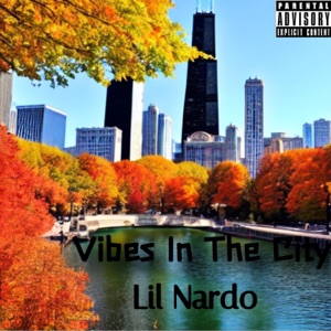 Vibes In the City