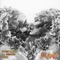 Young Hearts - BUNT. & BEGINNERS lyrics