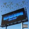 Tripstar (feat. Tajahmad) - Belfield Shawty lyrics