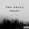 TOO SMALL (feat. Zeco) - Daxzeal lyrics