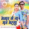 Bhatar Se Na Mann Bharata - Single