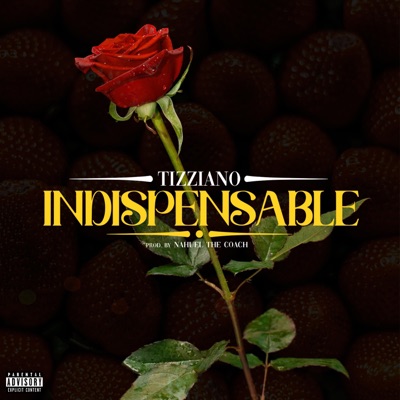 Indispensable (feat. Nahuel the Coach) - Single