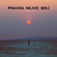 Pravda nejvíc bolí - Single - UZIX