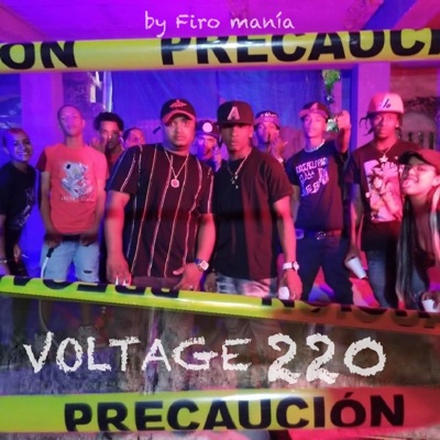 Voltage 220 - Single
