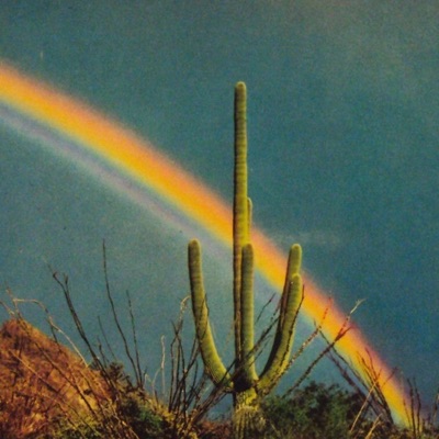 Lost In Arizona - Single