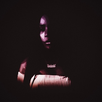 Fakebitcheshero (Instrumental)