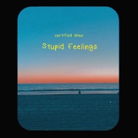 Stupid Feelings - EP - Certified Alien