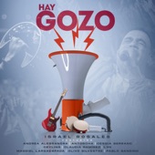 Hay Gozo (feat. Andrea Alessandra, Antorcha, Cessia Serrano, Ceyling, Claudia Ramírez, L3N, Magdiel Largaespada, Olivo Silvestre & Pablo Sandino) artwork