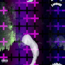 BankRoll (feat. POPS!) Zammir We$