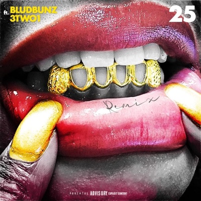 25 (feat. 3TWO1) [REMIX] - Single